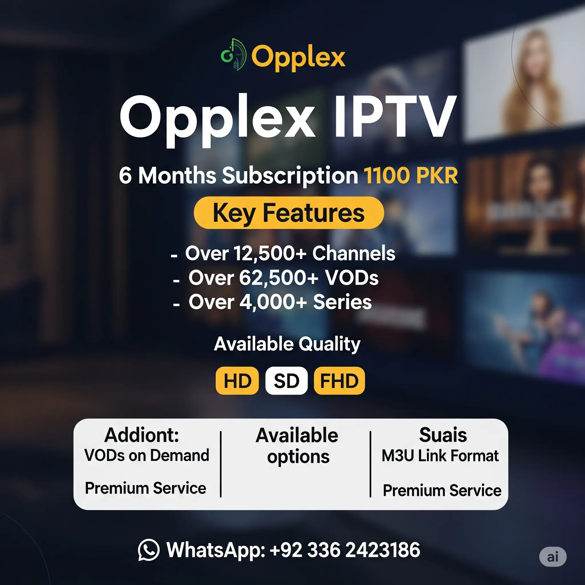 Smarter Player Lite Roku